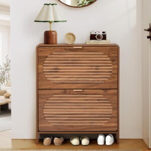 55W Mid-Century Modern 2-Drawer Entryway Shoe Storage Cabinet With Adjustable Shelves Rebrilliant